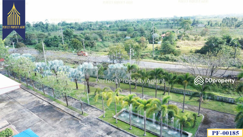 โรงงานปราจีนบุรี, Prachin Buri, - -, Dong Khi Lek, Muang Prachin Buri, Prachin Buri, , 208,000 sqm, Warehouse/Factory For Sale, by ปภัชญา ธนัตถ์ภรณ์, 11438183 - DDproperty.com