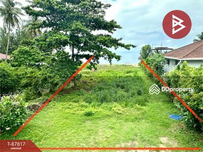 ขาย - ที่ดินบางสะพาน ประจวบคีรีขันธ์, ประจวบคีรีขันธ์