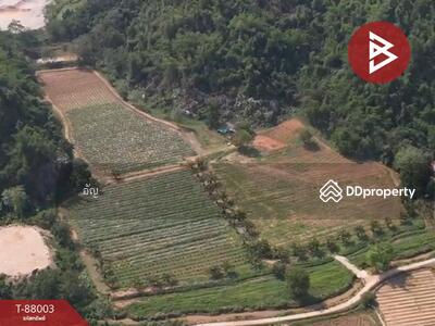 ขาย - ที่ดินแม่จัน เชียงราย, เชียงราย