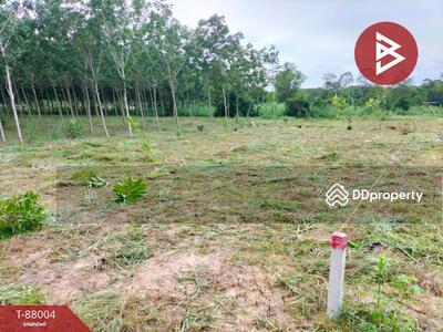 ขาย - ที่ดินปลวกแดง ระยอง, ระยอง