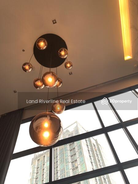 ให้เช่า - Ivy Ampio : ไอวี่ แอมพิโอ, กรุงเทพ
