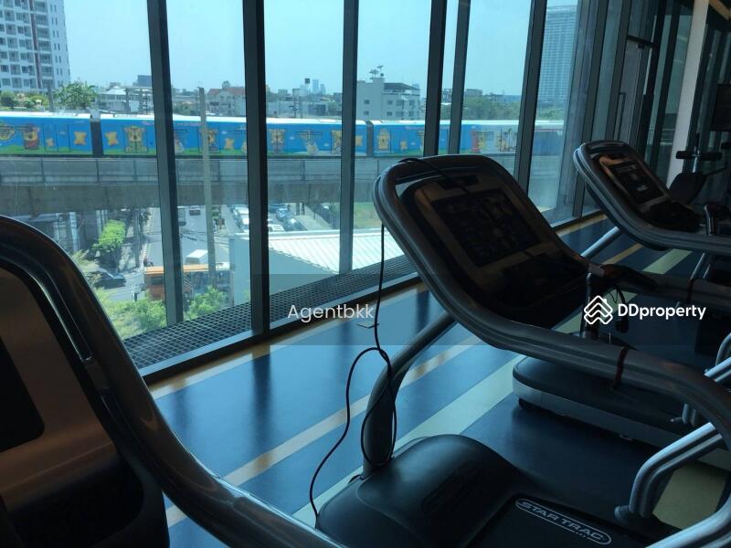 The Room Sukhumvit 69, Bangkok, 1539 Sukhumvit Road, Phra Kanong Nua, Watthana, Bangkok, 1 Bedroom, 35 sqm, Condo For Rent, by Agentbkk, 11441048 - DDproperty.com