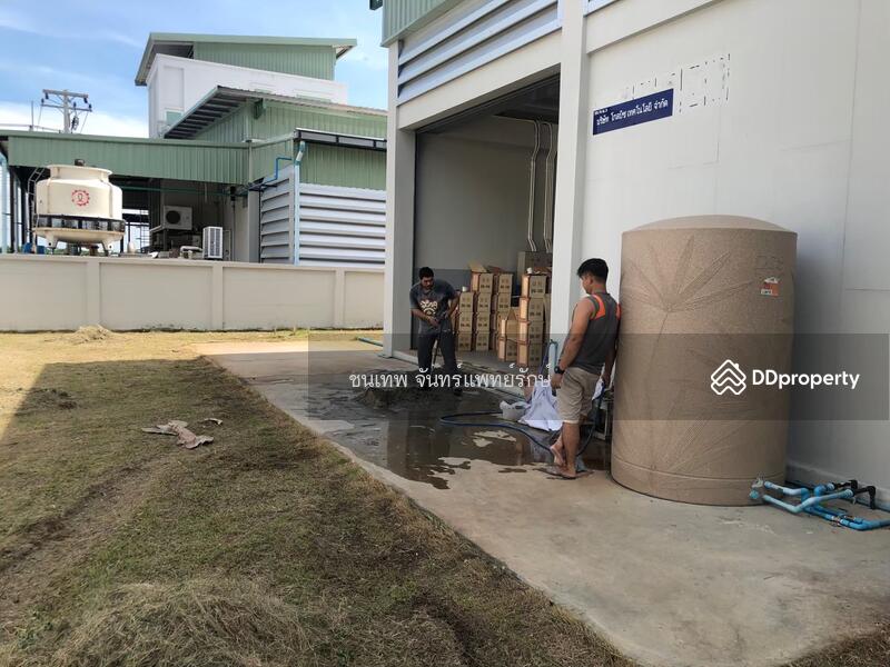 โครงการบิ๊กเกอร์แลนด์ ลำลูกกาคลอง 9 เฟส 3, Pathum Thani, Lam Luk Ka, Lam Luk Ka, Pathum Thani, , 1,000 sqm, Warehouse/Factory For Sale, by วันเพ็ญ ด้วงสาว, 11441846 - DDproperty.com