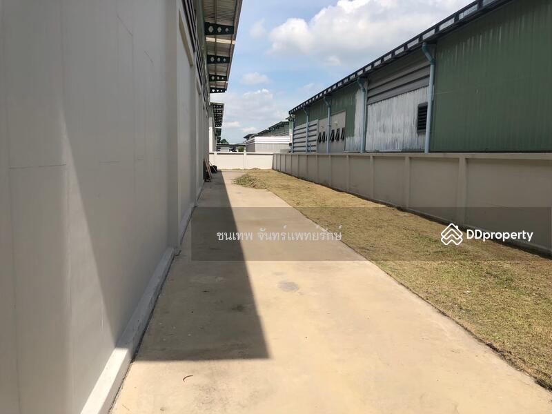 โครงการบิ๊กเกอร์แลนด์ ลำลูกกาคลอง 9 เฟส 3, Pathum Thani, Lam Luk Ka, Lam Luk Ka, Pathum Thani, , 1,000 sqm, Warehouse/Factory For Sale, by วันเพ็ญ ด้วงสาว, 11441846 - DDproperty.com