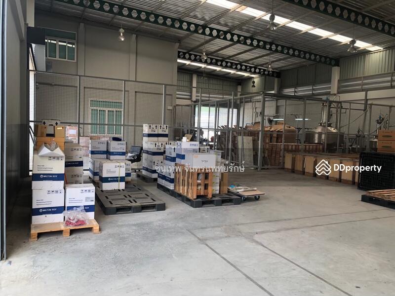 โครงการบิ๊กเกอร์แลนด์ ลำลูกกาคลอง 9 เฟส 3, ปทุมธานี, ลำลูกกา, ปทุมธานี, 1,000 ตร.ม., โกดัง-โรงงาน ขาย, โดย วันเพ็ญ ด้วงสาว, 11441846 - DDproperty.com