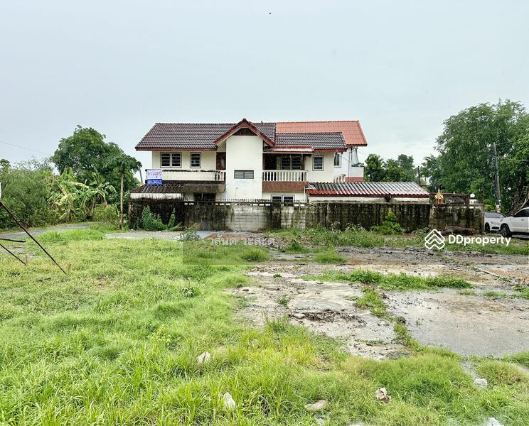 บ้านเดี่ยวในเมืองปทุม ปลูกสร้างเองพร้อมอยู่ ชุมชนปัญชลีวิลล์ ต.บางปรอก อ.เมืองปทุมธานี, ปทุมธานี, 70/11 3111 ปทุม-สามโคก, บางปรอก, เมืองปทุมธานี, ปทุมธานี, 200 ตร.ม., บ้านเดี่ยว ขาย, โดย วสันต์ วะสะติ, 11443046 - DDproperty.com