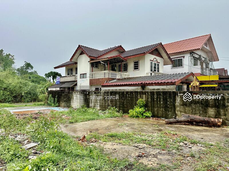 บ้านเดี่ยวในเมืองปทุม ปลูกสร้างเองพร้อมอยู่ ชุมชนปัญชลีวิลล์ ต.บางปรอก อ.เมืองปทุมธานี, ปทุมธานี, 70/11 3111 ปทุม-สามโคก, บางปรอก, เมืองปทุมธานี, ปทุมธานี, 200 ตร.ม., บ้านเดี่ยว ขาย, โดย วสันต์ วะสะติ, 11443046 - DDproperty.com