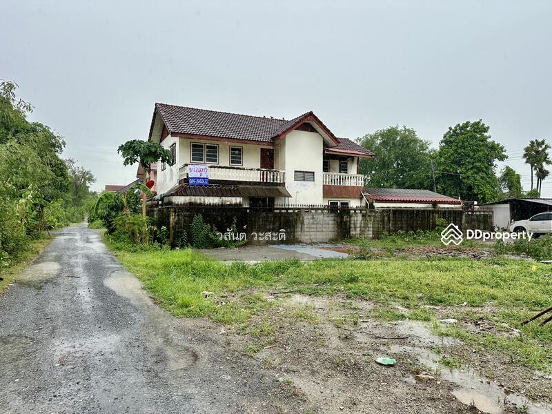 บ้านเดี่ยวในเมืองปทุม ปลูกสร้างเองพร้อมอยู่ ชุมชนปัญชลีวิลล์ ต.บางปรอก อ.เมืองปทุมธานี, ปทุมธานี, 70/11 3111 ปทุม-สามโคก, บางปรอก, เมืองปทุมธานี, ปทุมธานี, 200 ตร.ม., บ้านเดี่ยว ขาย, โดย วสันต์ วะสะติ, 11443046 - DDproperty.com