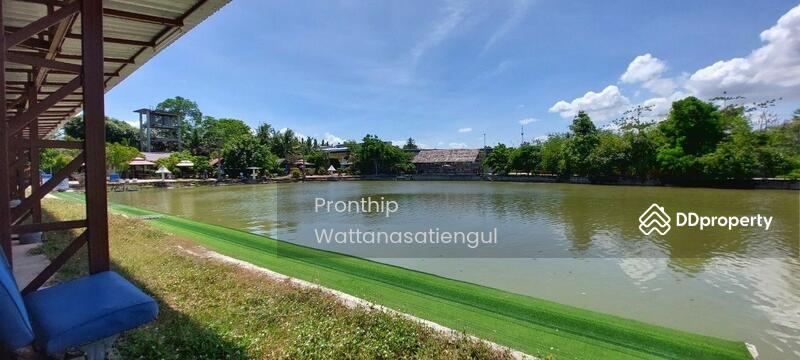 For Sale - Fishing Park Business for Sale, spacious 6 Rai Land with 6 Bungalows, Chon Buri