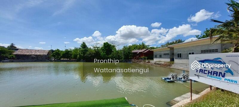 For Sale - Fishing Park Business for Sale, spacious 6 Rai Land with 6 Bungalows, Chon Buri