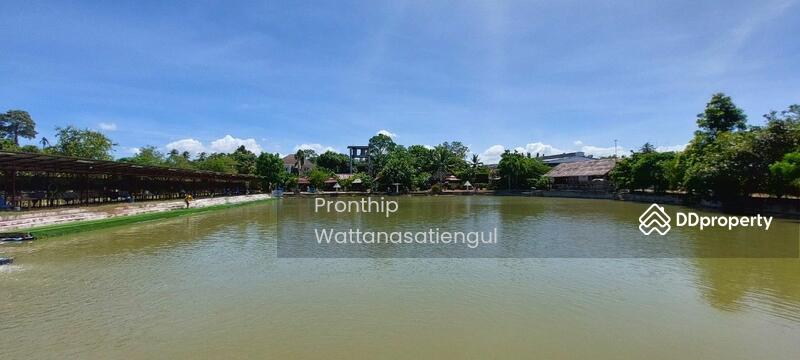 For Sale - Fishing Park Business for Sale, spacious 6 Rai Land with 6 Bungalows, Chon Buri