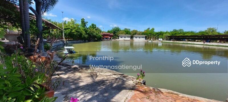 For Sale - Fishing Park Business for Sale, spacious 6 Rai Land with 6 Bungalows, Chon Buri