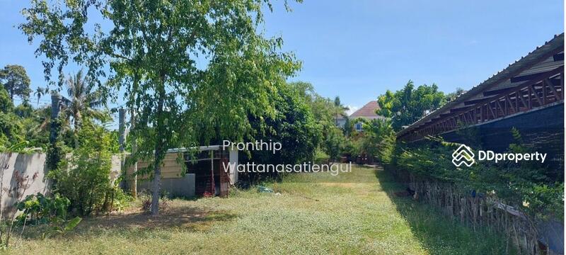 For Sale - Fishing Park Business for Sale, spacious 6 Rai Land with 6 Bungalows, Chon Buri