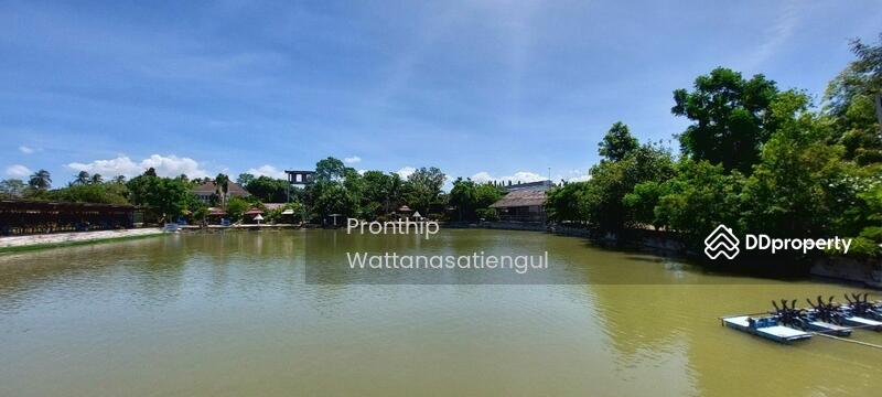 For Sale - Fishing Park Business for Sale, spacious 6 Rai Land with 6 Bungalows, Chon Buri