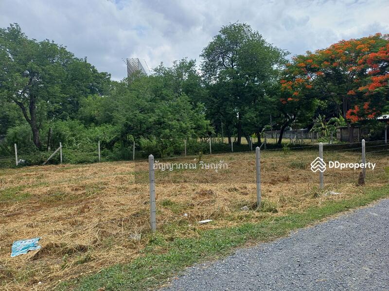 ที่ดินซอยประชาชื่น 37, กรุงเทพ, ประชาชื่น, วงศ์สว่าง, บางซื่อ, กรุงเทพ, 590 ตร.ม., ที่ดิน ขาย, โดย อัญญาภรณ์ วิษณุรัก, 11443516 - DDproperty.com