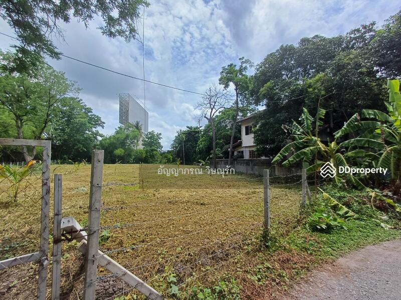 ที่ดินซอยประชาชื่น 37, กรุงเทพ, ประชาชื่น, วงศ์สว่าง, บางซื่อ, กรุงเทพ, 590 ตร.ม., ที่ดิน ขาย, โดย อัญญาภรณ์ วิษณุรัก, 11443516 - DDproperty.com