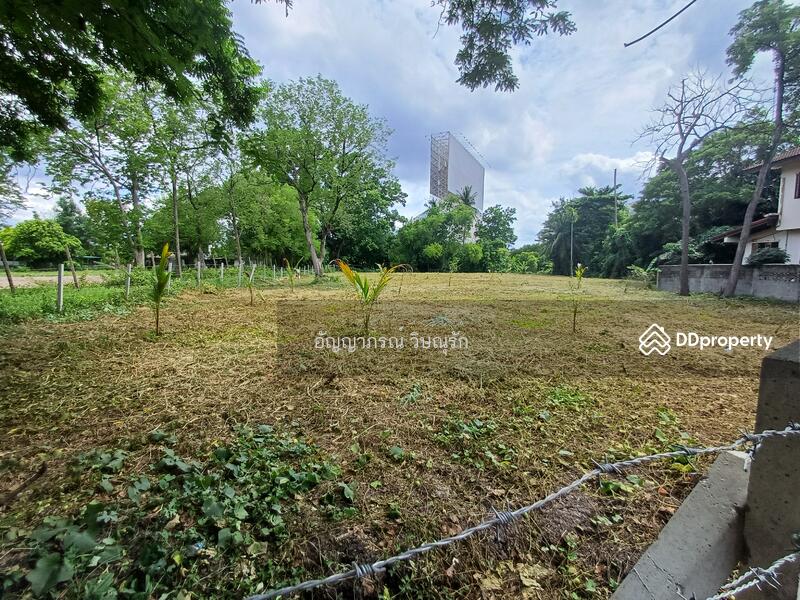 ที่ดินซอยประชาชื่น 37, กรุงเทพ, ประชาชื่น, วงศ์สว่าง, บางซื่อ, กรุงเทพ, 590 ตร.ม., ที่ดิน ขาย, โดย อัญญาภรณ์ วิษณุรัก, 11443516 - DDproperty.com