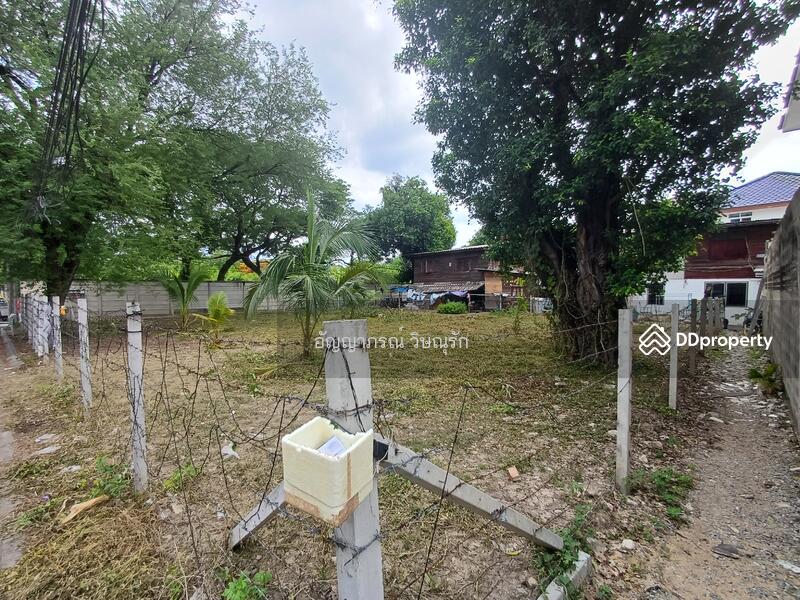 ที่ดินซอยประชาชื่น 37, Bangkok, ประชาชื่น, Wong Sawang, Bang Sue, Bangkok, , 590 sqm, Land For Sale, by อัญญาภรณ์ วิษณุรัก, 11443516 - DDproperty.com