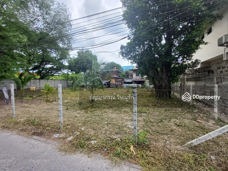ที่ดินซอยประชาชื่น 37, กรุงเทพ, ประชาชื่น, วงศ์สว่าง, บางซื่อ, กรุงเทพ, 590 ตร.ม., ที่ดิน ขาย, โดย อัญญาภรณ์ วิษณุรัก, 11443516 - DDproperty.com