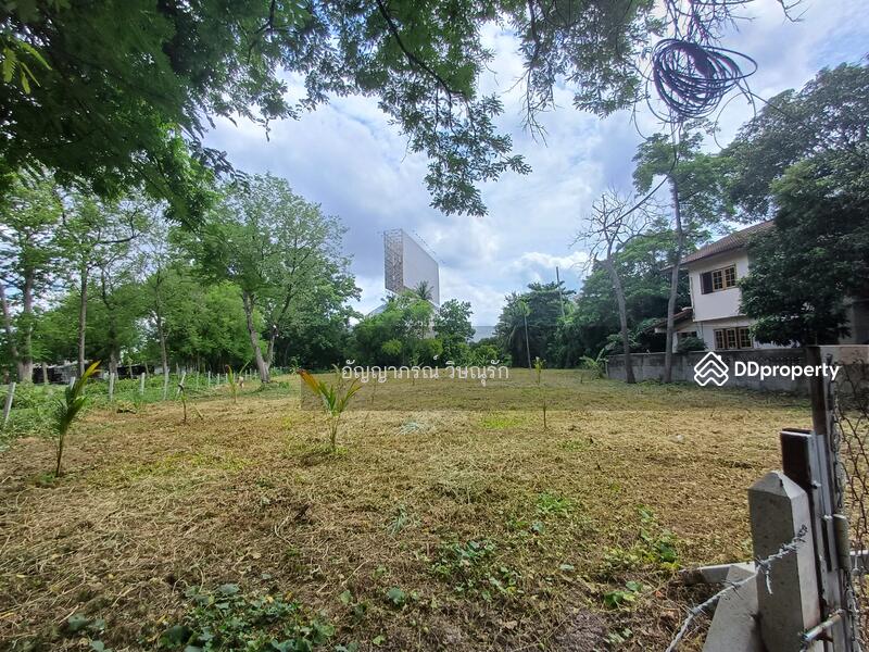 ที่ดินซอยประชาชื่น 37, กรุงเทพ, ประชาชื่น, วงศ์สว่าง, บางซื่อ, กรุงเทพ, 590 ตร.ม., ที่ดิน ขาย, โดย อัญญาภรณ์ วิษณุรัก, 11443516 - DDproperty.com