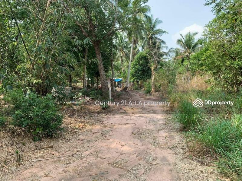 ขาย - ที่ดิน ศรีราชา หนองขาม, ชลบุรี