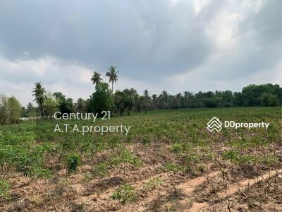 ขาย - ที่ดิน ศรีราชา หนองขาม, ชลบุรี