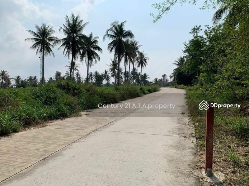 ขาย - ที่ดิน ศรีราชา หนองขาม, ชลบุรี