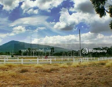 ขาย - ขาย ที่ดินจัดสรร ปากช่อง ในโครงการ วังไทรฮิลล์ไซด์ ที่ดินสวย ทำเลดี เหมาะกับบ้านพักตากอากาศ, นครราชสีมา