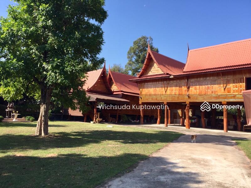 ขาย - มหาสารคาม, มหาสารคาม