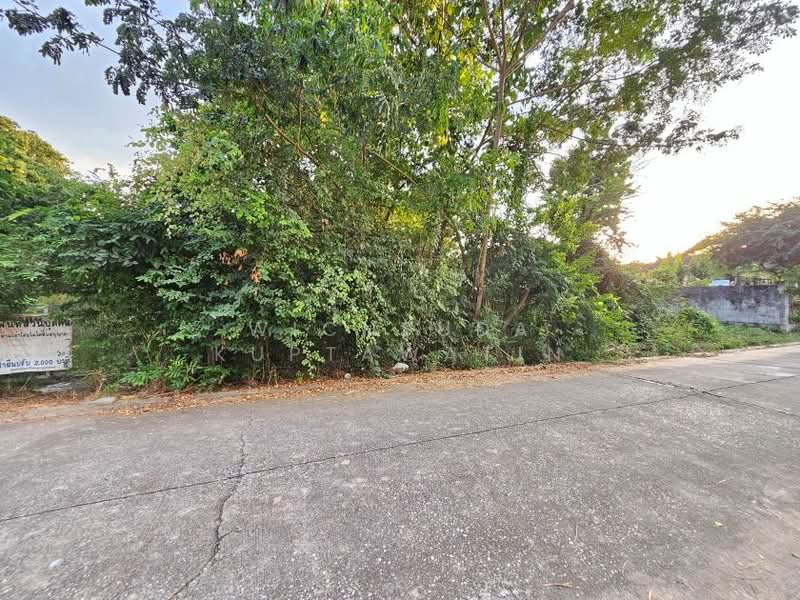 For Sale - พิษณุโลก, Phitsanulok