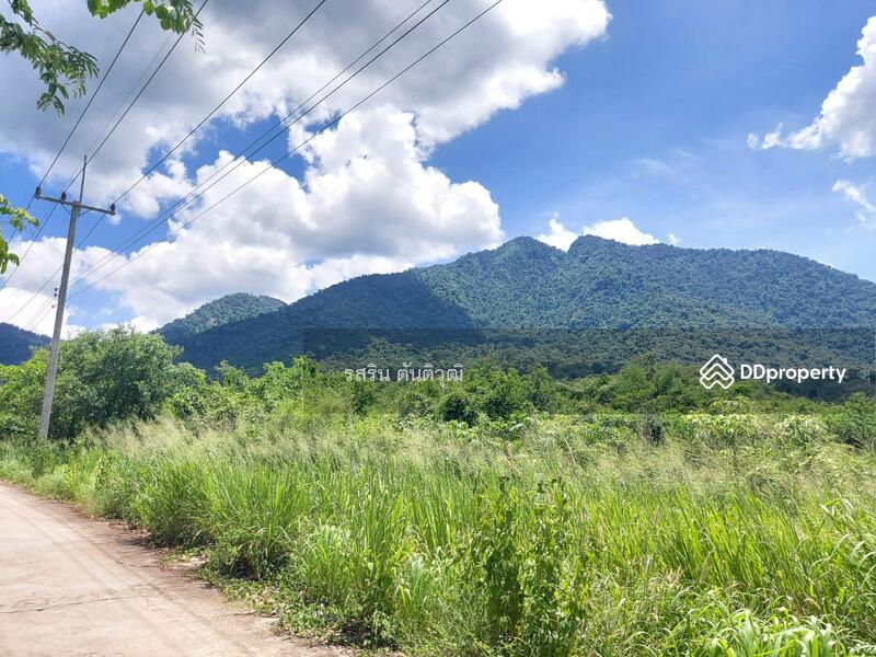 For Sale - Land, Pong Nam Ron, Soi Dao, Chanthaburi, Chanthaburi