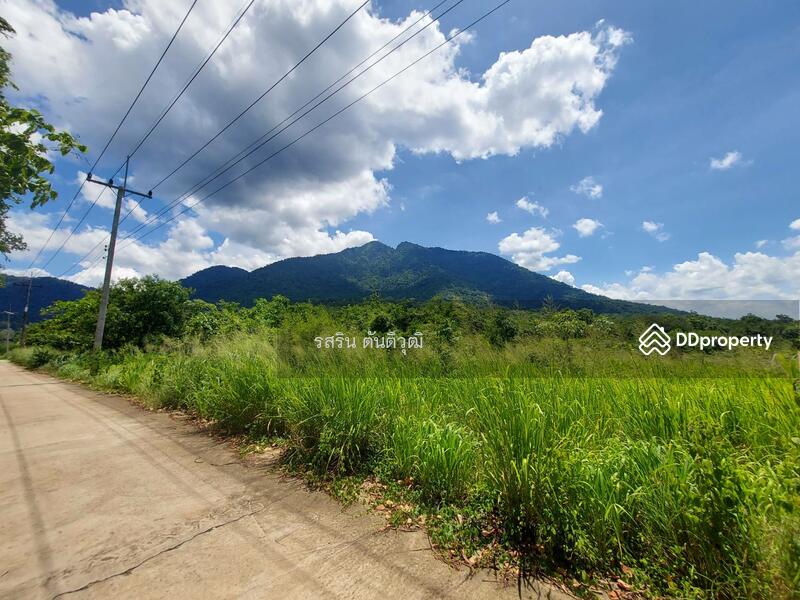 For Sale - Land, Pong Nam Ron, Soi Dao, Chanthaburi, Chanthaburi