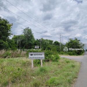 ขาย - ใกล้ถนนเลี่ยงเมืองขอนแก่น - บ้านสำราญ ตำบลสำราญ อำเภอเมืองขอนแก่น จังหวัดขอนแก่น, ขอนแก่น