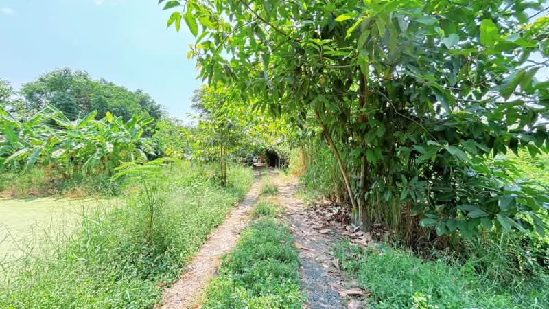 บ้านเดี่ยวหนองจอก กรุงเทพมหานคร, Bangkok, Khok Faed, Nong Chok, Bangkok, 2 Bedrooms, 150 sqm, Single Detached House For Sale, by ลิลลี่, 11448736 - DDproperty.com