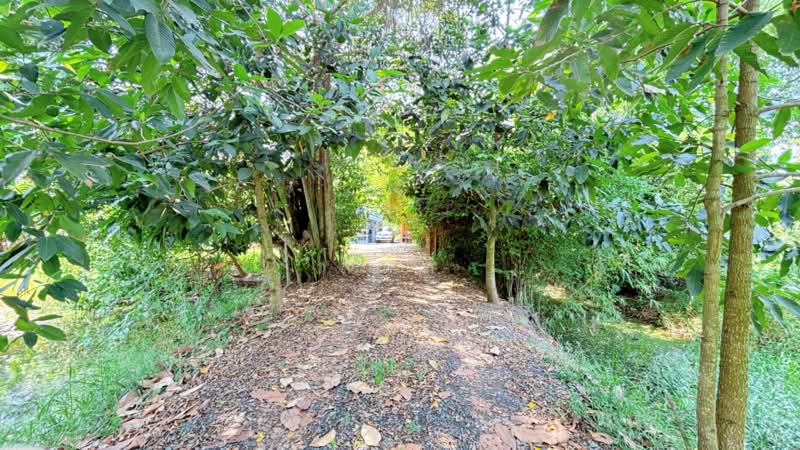 บ้านเดี่ยวหนองจอก กรุงเทพมหานคร, Bangkok, Khok Faed, Nong Chok, Bangkok, 2 Bedrooms, 150 sqm, Single Detached House For Sale, by ลิลลี่, 11448736 - DDproperty.com