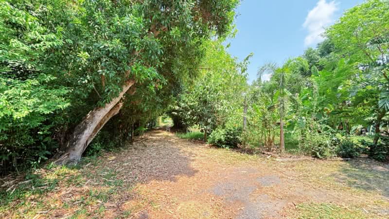 บ้านเดี่ยวหนองจอก กรุงเทพมหานคร, Bangkok, Khok Faed, Nong Chok, Bangkok, 2 Bedrooms, 150 sqm, Single Detached House For Sale, by ลิลลี่, 11448736 - DDproperty.com