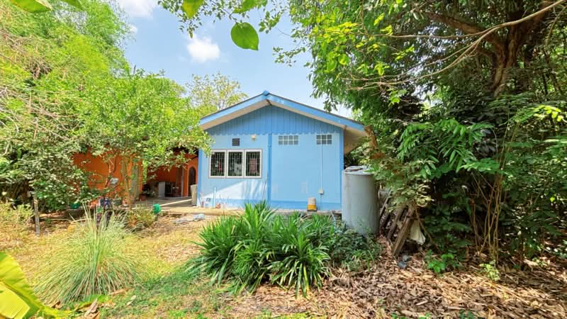 บ้านเดี่ยวหนองจอก กรุงเทพมหานคร, กรุงเทพ, โคกแฝด, หนองจอก, กรุงเทพ, 150 ตร.ม., บ้านเดี่ยว ขาย, โดย ลิลลี่, 11448736 - DDproperty.com