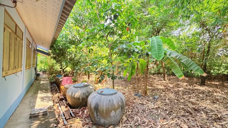 บ้านเดี่ยวหนองจอก กรุงเทพมหานคร, Bangkok, Khok Faed, Nong Chok, Bangkok, 2 Bedrooms, 150 sqm, Single Detached House For Sale, by ลิลลี่, 11448736 - DDproperty.com