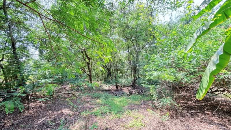 บ้านเดี่ยวหนองจอก กรุงเทพมหานคร, Bangkok, Khok Faed, Nong Chok, Bangkok, 2 Bedrooms, 150 sqm, Single Detached House For Sale, by ลิลลี่, 11448736 - DDproperty.com