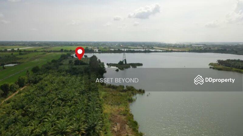 ขาย - ขาย ที่ดินเปล่า คลอง8 หนองเสือ ปทุมธานี ปทุมธานี, ปทุมธานี