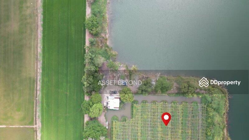 ขาย - ขาย ที่ดินเปล่า คลอง8 หนองเสือ ปทุมธานี ปทุมธานี, ปทุมธานี