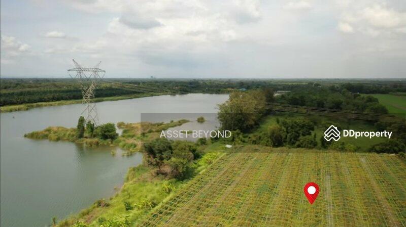 ขาย - ขาย ที่ดินเปล่า คลอง8 หนองเสือ ปทุมธานี ปทุมธานี, ปทุมธานี