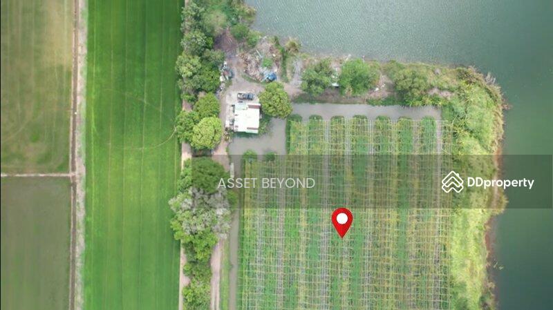 ขาย - ขาย ที่ดินเปล่า คลอง8 หนองเสือ ปทุมธานี ปทุมธานี, ปทุมธานี