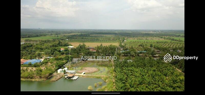 ขาย - ขาย ที่ดินเปล่า คลอง8 หนองเสือ ปทุมธานี ปทุมธานี, ปทุมธานี
