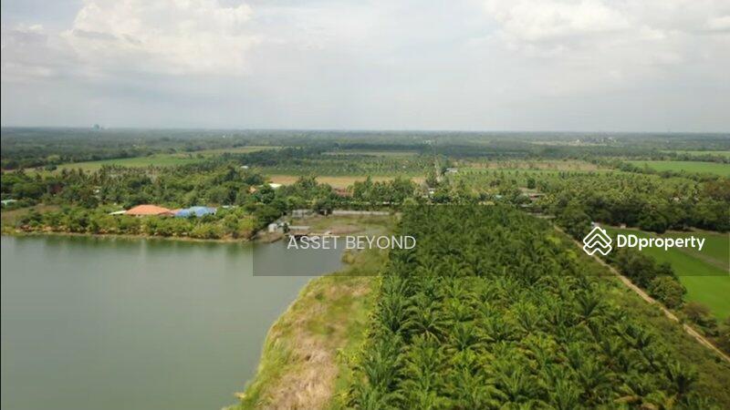 ขาย - ขาย ที่ดินเปล่า คลอง8 หนองเสือ ปทุมธานี ปทุมธานี, ปทุมธานี