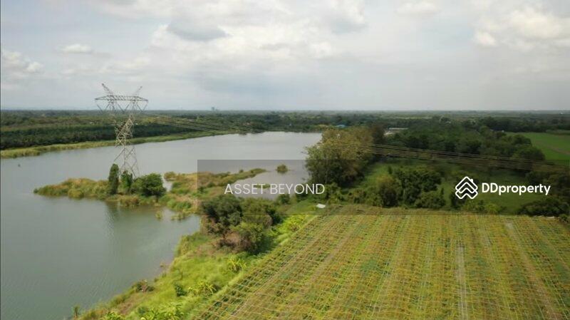 ขาย - ขาย ที่ดินเปล่า คลอง8 หนองเสือ ปทุมธานี ปทุมธานี, ปทุมธานี