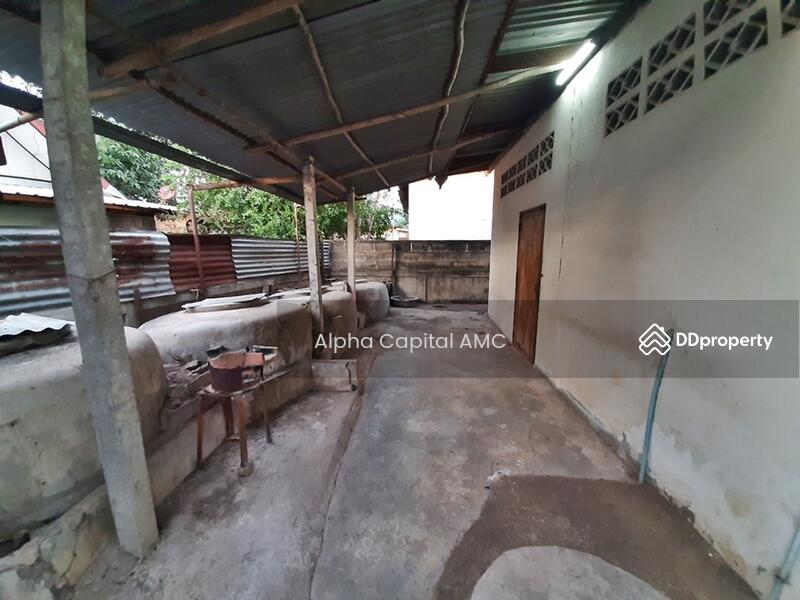 บ้านเดี่ยว บ้านหนองสองห้อง-คอนสาร (2055) ต.ผักปัง อ.ภูเขียว จ.ชัยภูมิ ติดทางหลวง, ชัยภูมิ, 175 บ้านหนองสองห้อง-คอนสาร, ผักปัง, ภูเขียว, ชัยภูมิ, 158 ตร.ม., บ้านเดี่ยว ขาย, โดย วารุณี จำรูญนุรักษ์, 11449887 - DDproperty.com