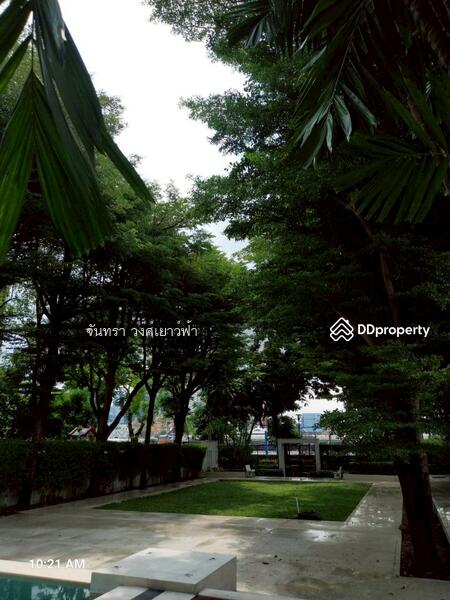 The Fine at River, Bangkok, Chareonnakorn, Bang Lam Phu Lang, Khlong San, Bangkok, 1 Bedroom, 35 sqm, Condo For Rent, by Chantra Wongyaofa, 11450442 - DDproperty.com