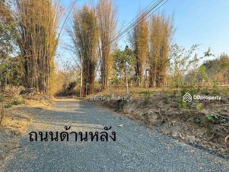 For Sale - Small plot of land, beautiful mountain view, near Rim Nuea Fresh Market and Kad Farang, Mae Rim., Chiang Mai
