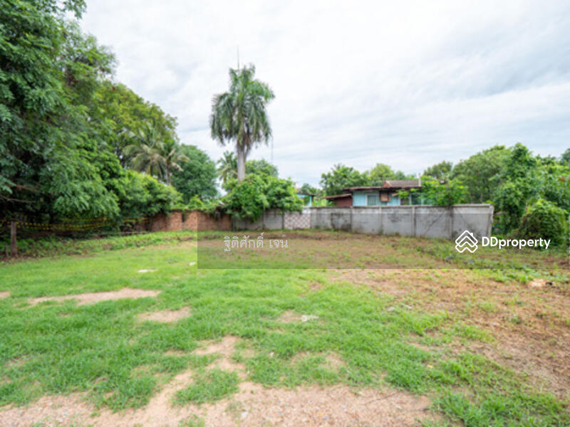 41000, Udon Thani, Mak Khaeng, Muang Udon Thani, Udon Thani, , 808 sqm, Land For Sale, by TITISAK Jane, 11452415 - DDproperty.com